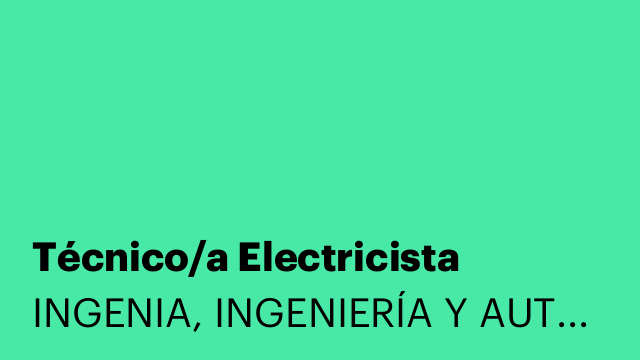 Técnico/a Electricista