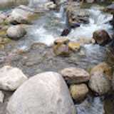 Hna Claudia S. avatar icon