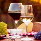 Jose Angel D. avatar icon