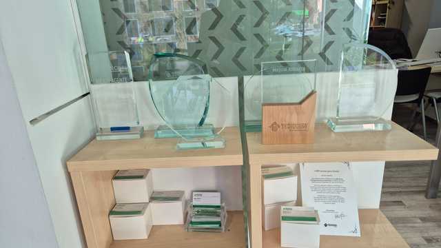 Agente de Ventas Inmobiliario