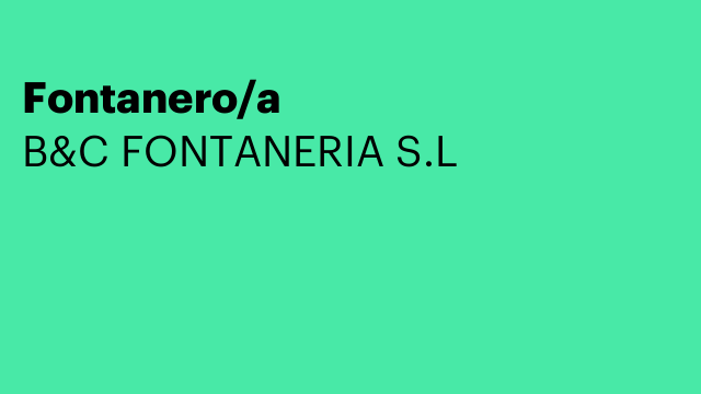 Fontanero/a