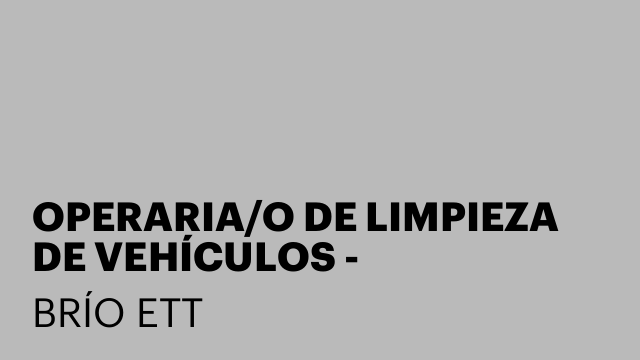OPERARIA/O DE LIMPIEZA DE VEHÍCULOS - INCORPORACIÓN INMEDIATA - CHESTE