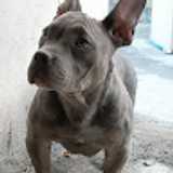 Itxaso P. avatar icon