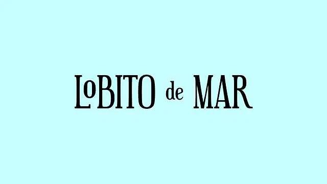 Ayudante/a de Cocina - Lobito de Mar Madrid