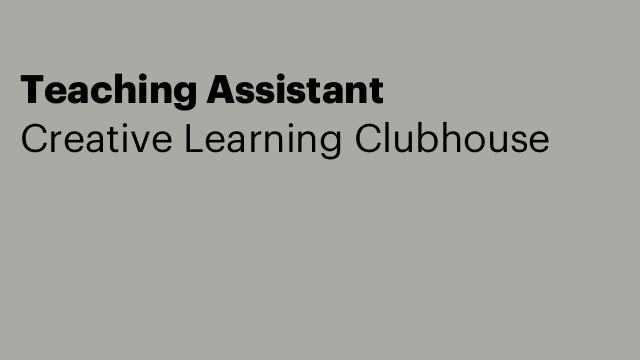 Teaching Assistant