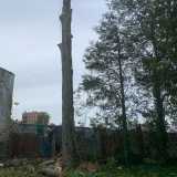 Guayo’s T. avatar icon