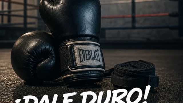 Monitor boxeo/deporte de contacto