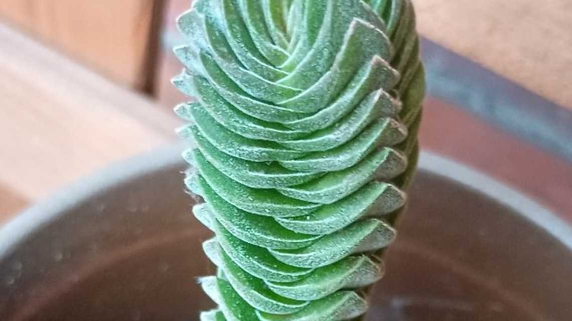 Restaurante en el centro de Oviedo  cover image