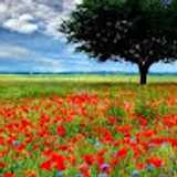 José R. avatar icon