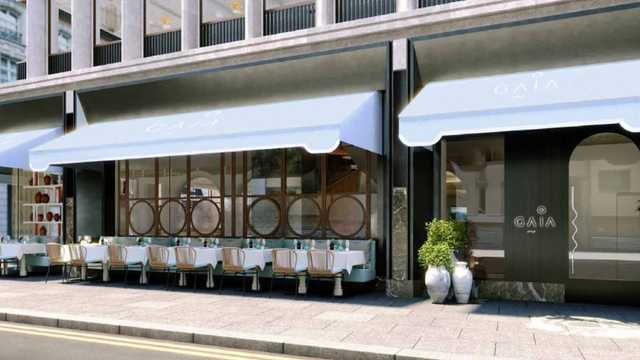 Head Waiter / Waitress