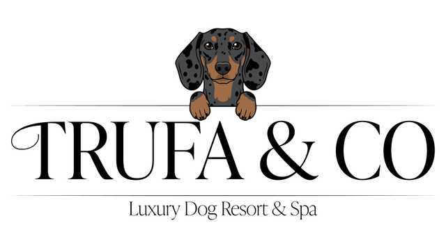 peluquería canina y servicio al cliente