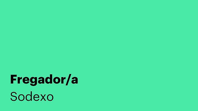 Fregador/a