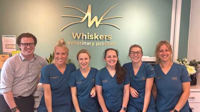 Practice Operations Manager