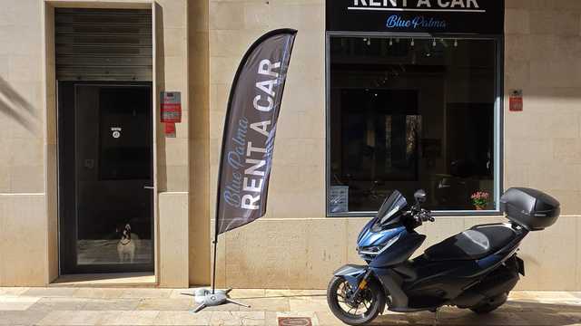 Alquiler de coches