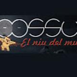 Niu Lossum Sant Quirze Del Vallès avatar icon