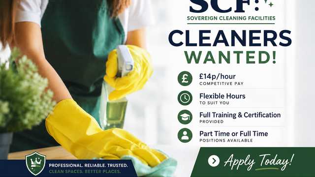 Professional Cleaner