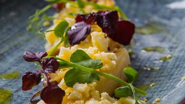 Cocinero/a y Ayudante/a de Cocina