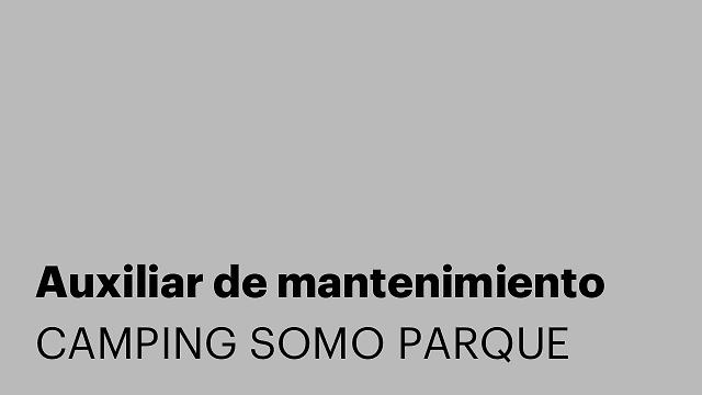 Auxiliar de mantenimiento