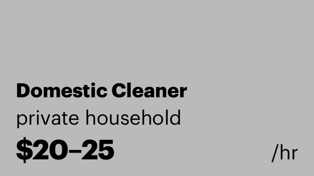 Domestic Cleaner