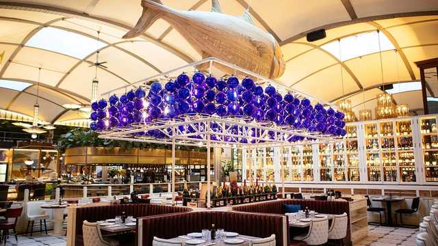 🍽️ Ayudante Camarero