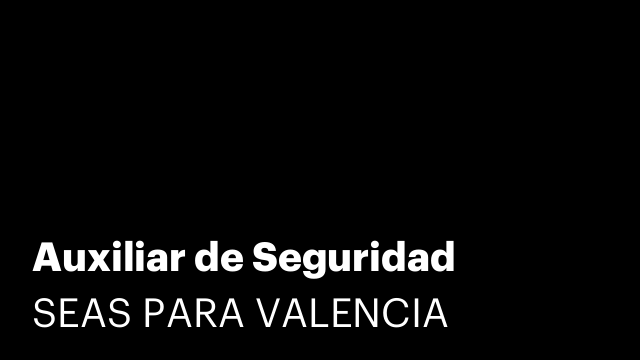 Auxiliar de Seguridad