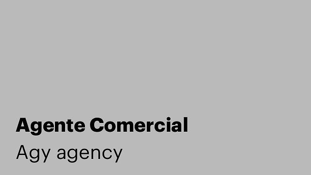 Agente Comercial