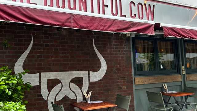 Bartender and Waiter / Waitress