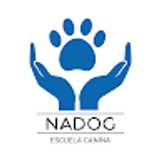 Escuela Canina N. avatar icon