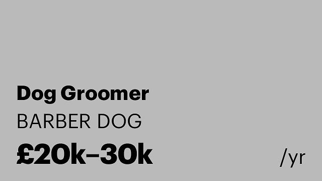 Dog Groomer