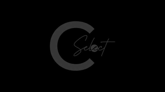 Camarero y jefe de sala