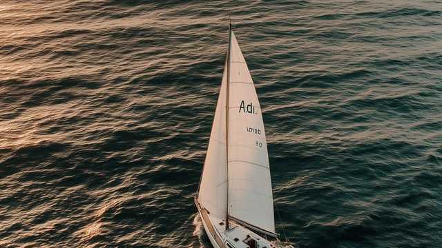 Cocinero/a Restaurante