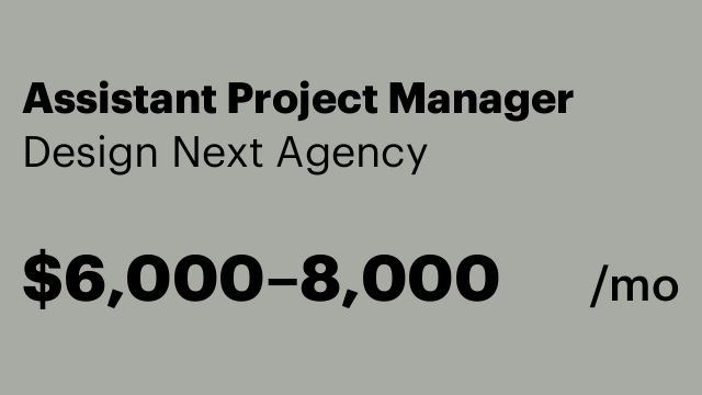 Assistant Project Manager