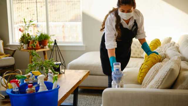 Cleaner / Housekeeper