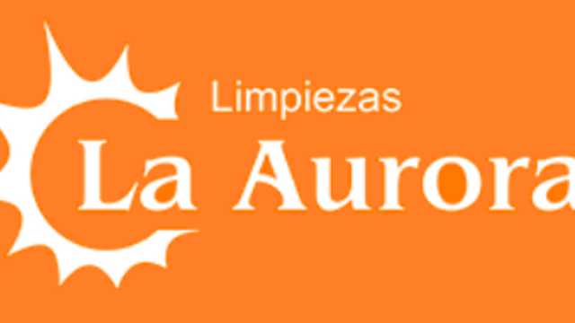 LIMPIADOR/A CON VEHÍCULO PROPIO