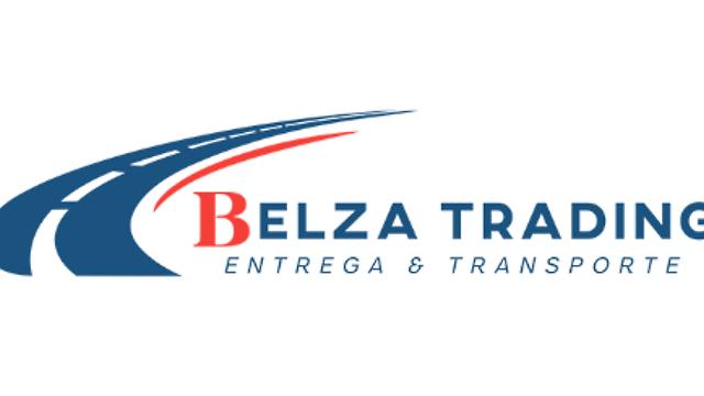 CONDUCTOR DE FURGÓN – TRANSPORTE INTERNACIONAL POR EUROPA