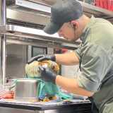 Sebastian M. avatar icon