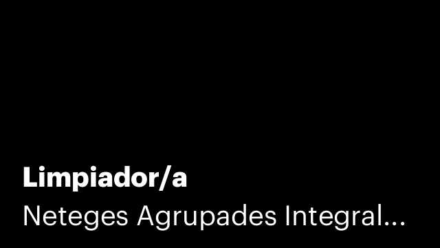 Limpiador/a