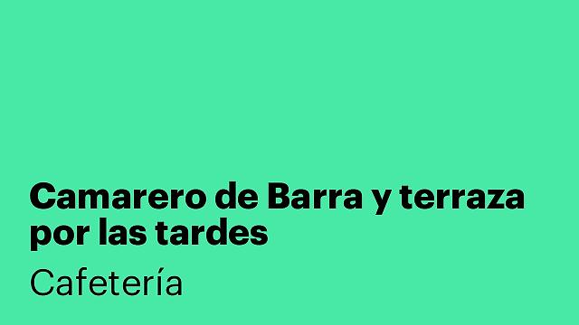 Camarero de Barra y terraza por las tardes