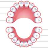 CENTRE DENTAL FREIXA avatar icon