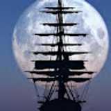 Carmen B. avatar icon