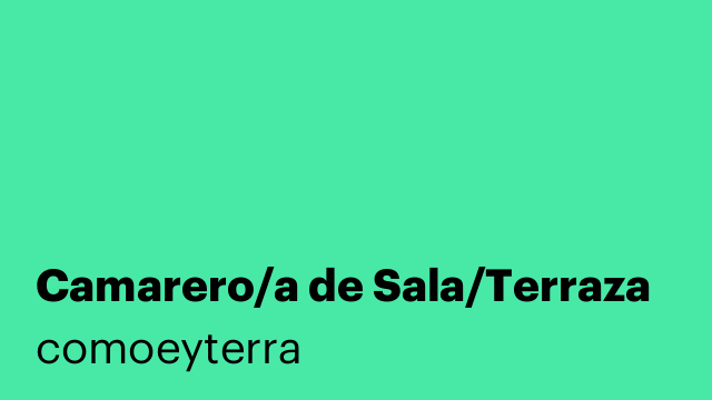 Camarero/a de Sala/Terraza