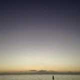 Aneesha R. avatar icon