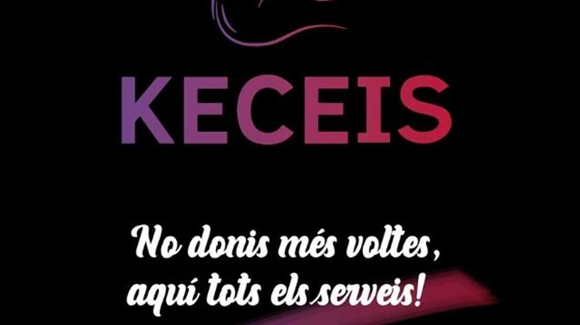 KECEIS SERVICES SL cover image