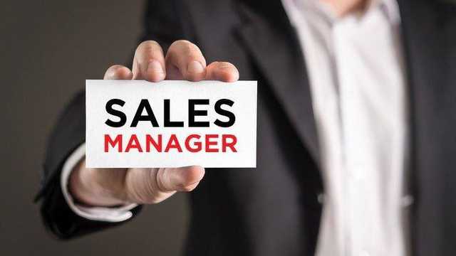 Comercial de ventas \ Sales manager