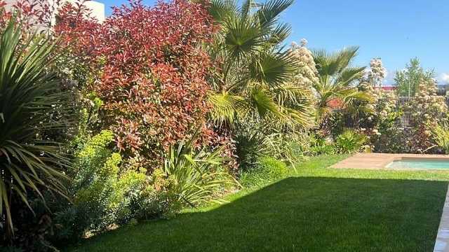 Ayudante/a de Jardinería