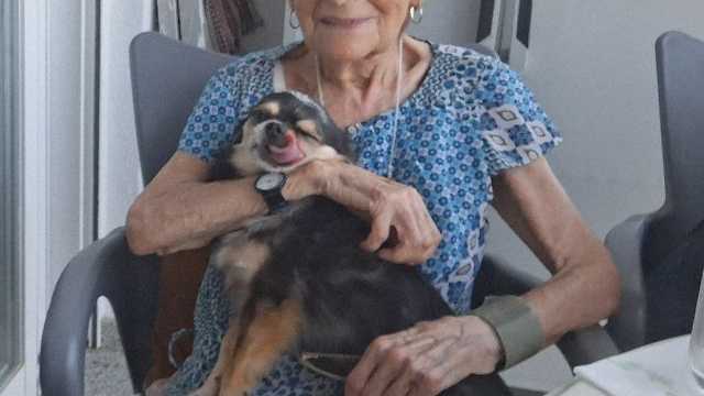 Cuidadora para una persona mayor