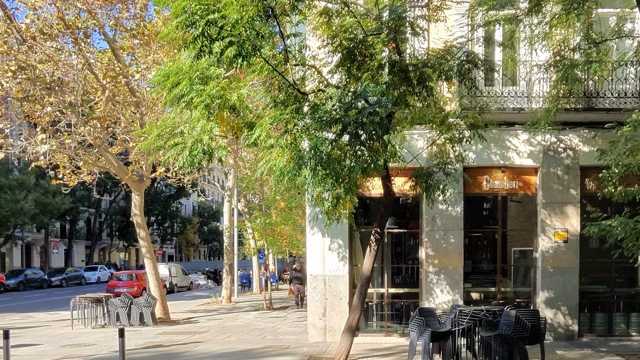 Camarero/a de Sala/Terraza