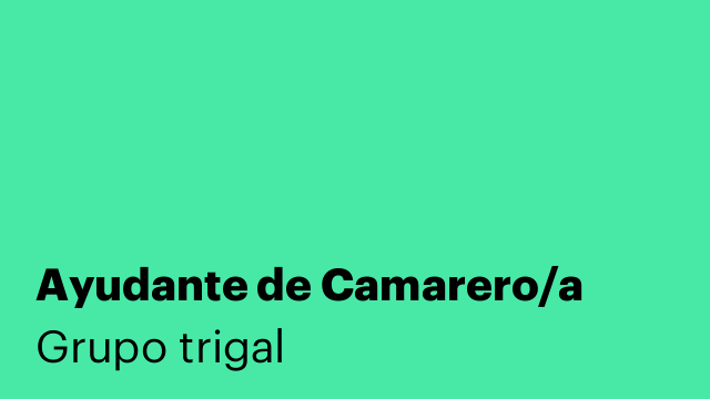 Ayudante de Camarero/a