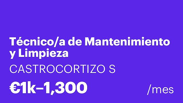 Técnico/a de Mantenimiento y Limpieza