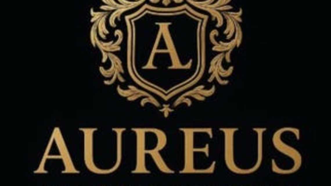 Aureus Luxury Inmobiliaria  cover image